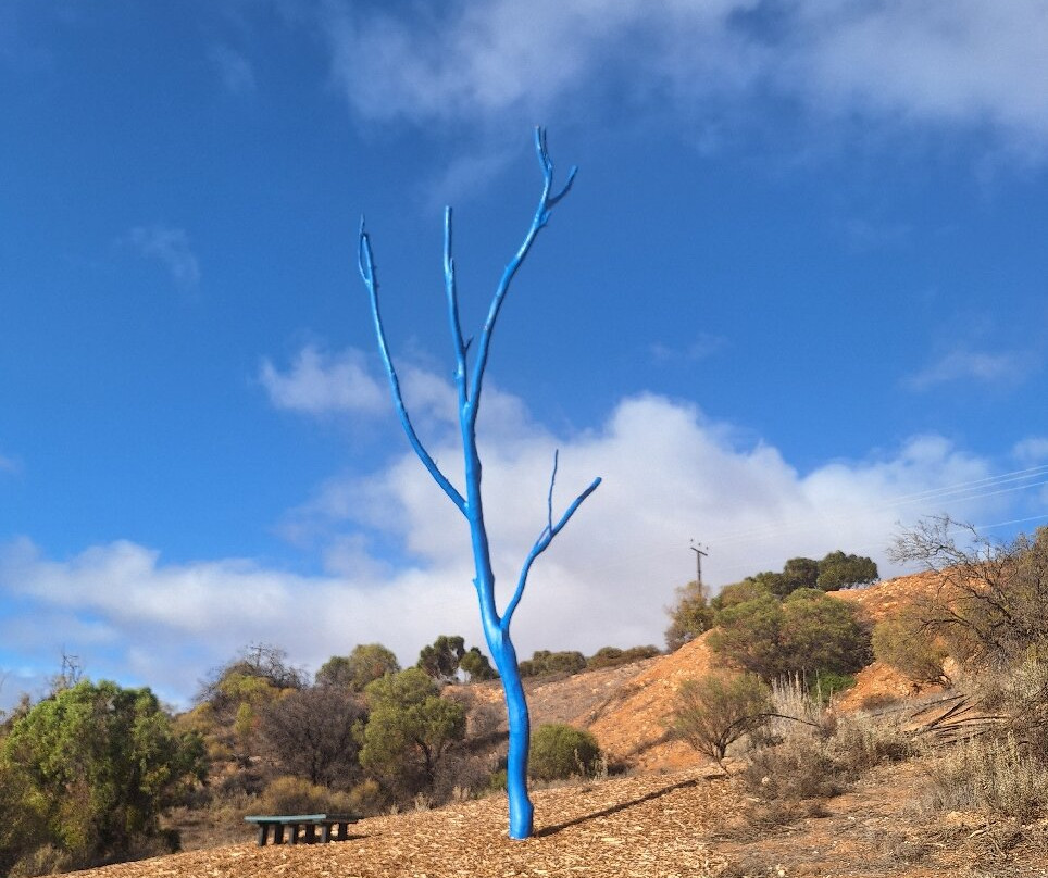 Rotary Centenary Cliff Top Walk Waikerie-Waikerie必去景点