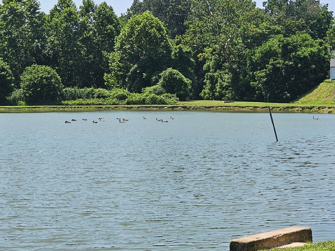Cow Pond-埃尔克顿必去景点