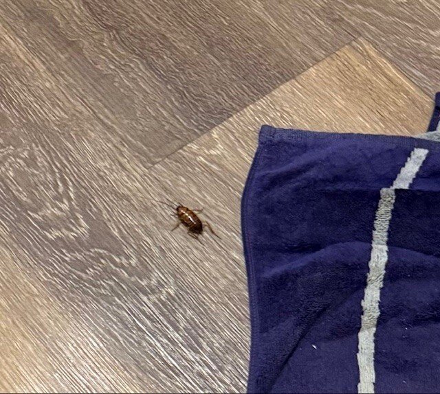 H10 Ocean Dreams - Adults Only-浴室