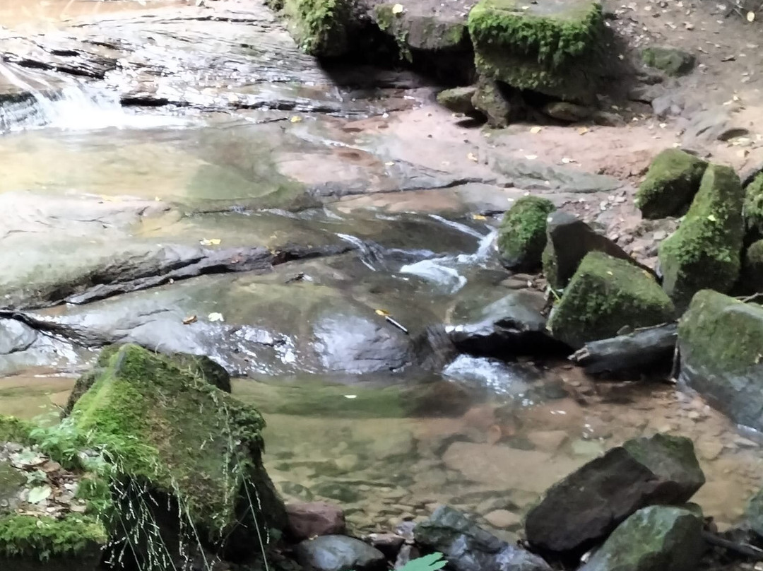 Villa Vontenie主图