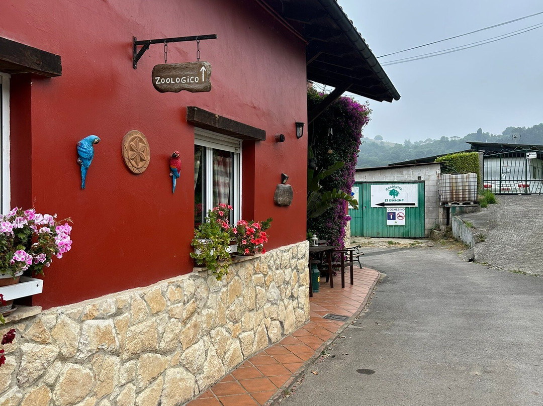 Zoologico El Bosque-奥维耶多必去景点