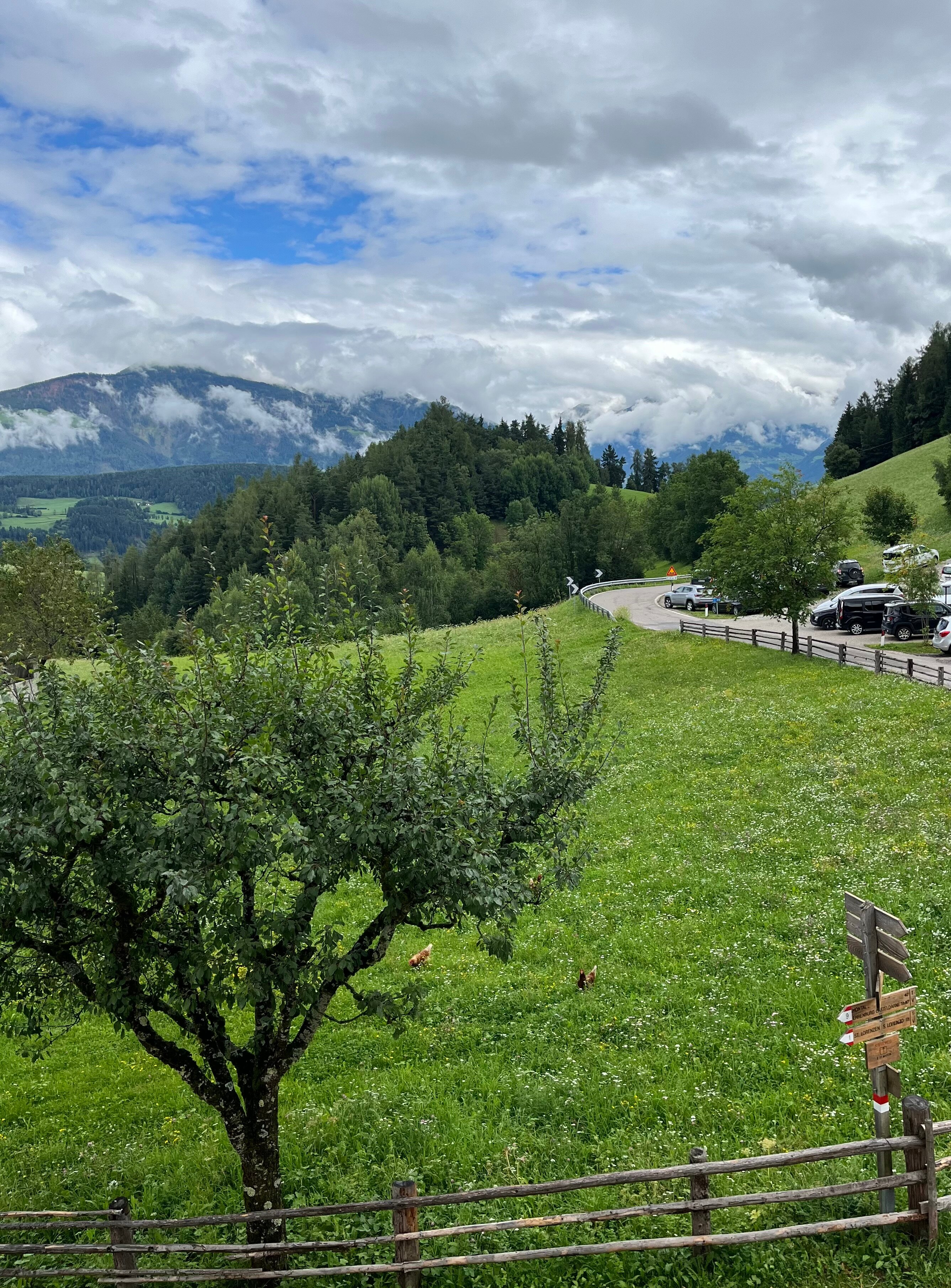 Naturhotel Saalerwirt-浴室