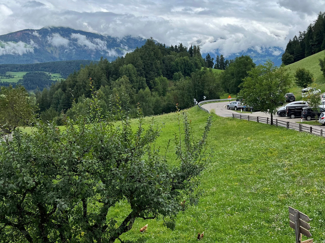 Naturhotel Saalerwirt主图