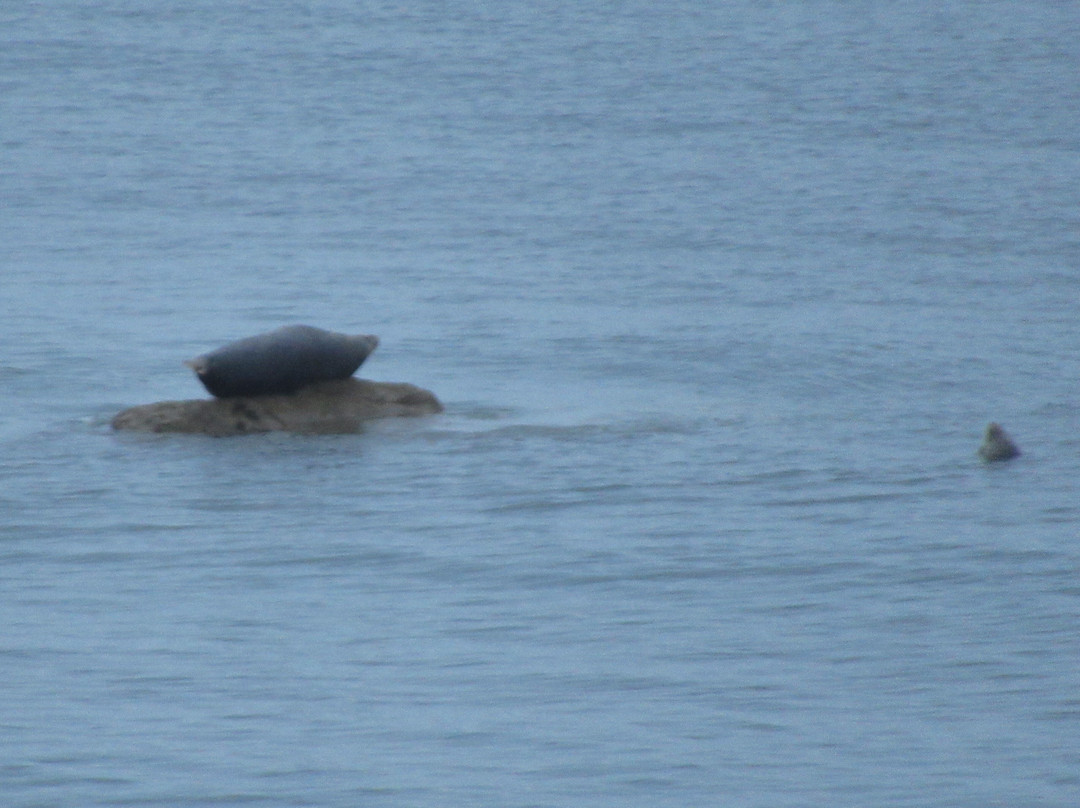 Glanllifon Bed & Breakfast主图