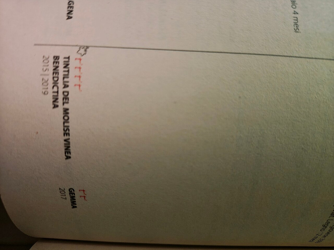 Azienda Agricola L'Arco Antico-Pozzilli必去景点