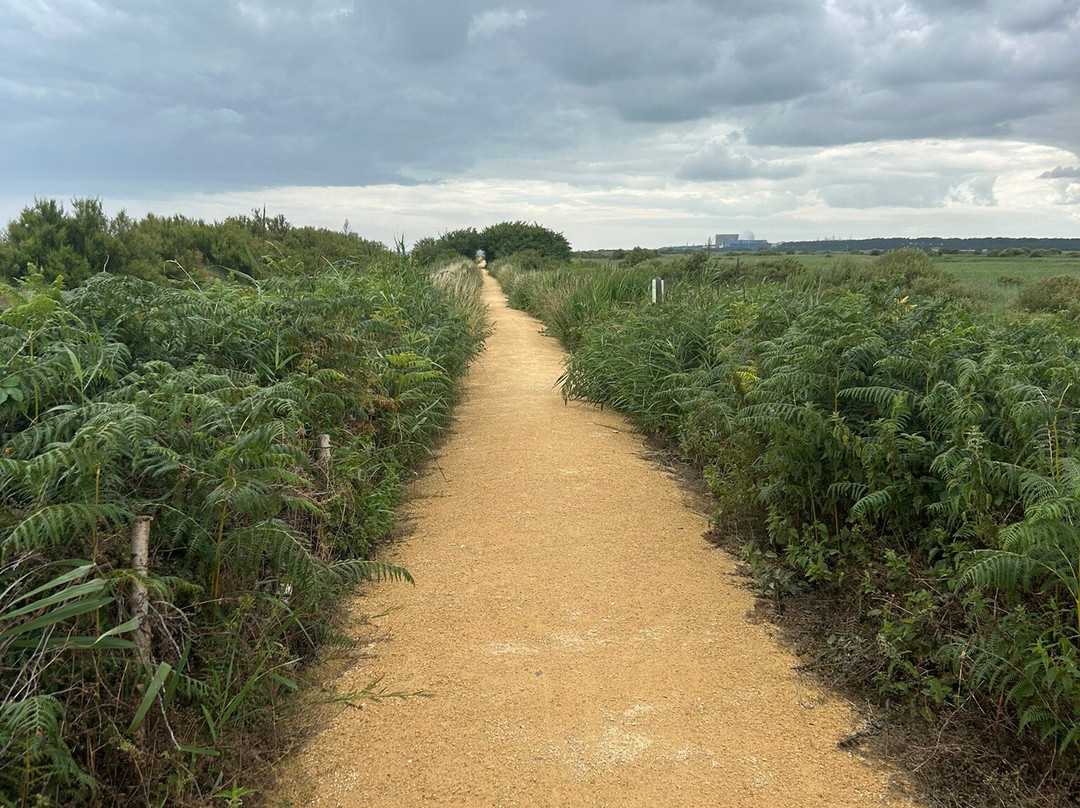Dunwich Heath and Beach-Dunwich必去景点