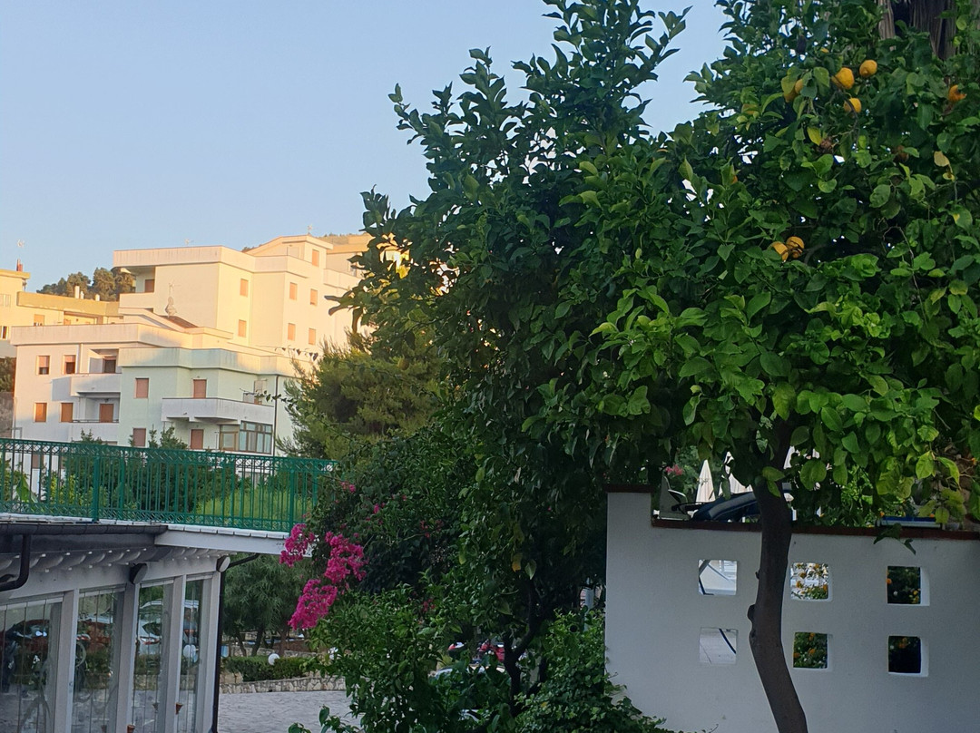 Villa Americana Park Hotel主图