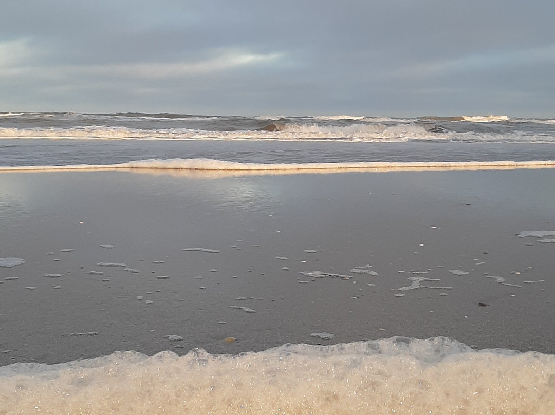 Playa De Pinamar-毕拿玛市必去景点