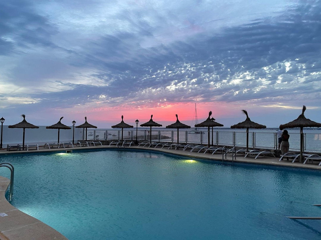 Universal Hotel Marqués主图