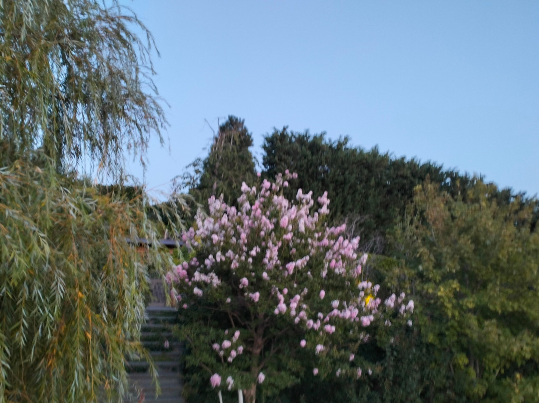 Rikkyo-En-Opolzneve必去景点