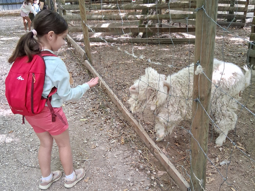 Ferme-Rieumes必去景点