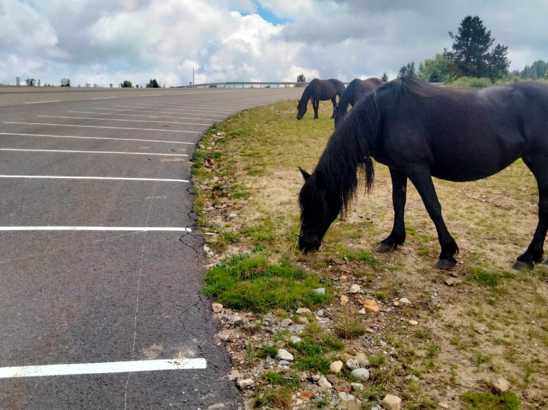 Plateau de Beille-Albies必去景点