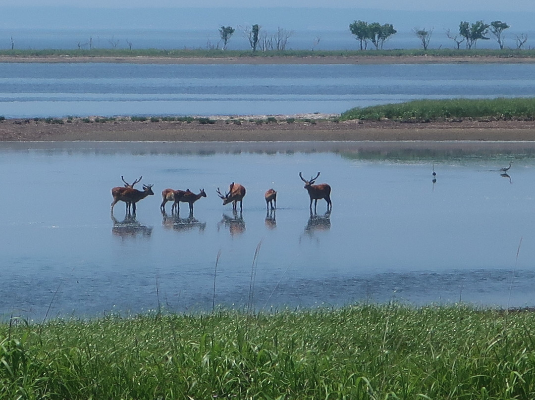 Notsuke Peninsula-别海町必去景点