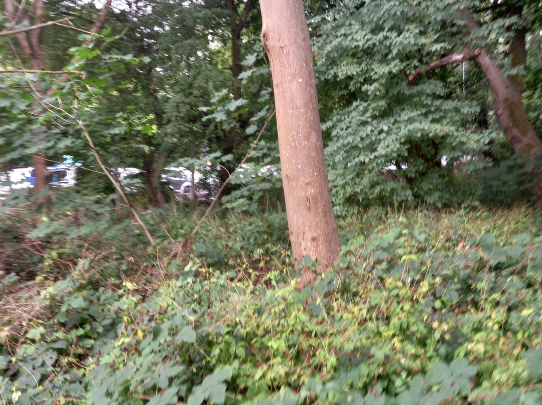 Moor Park Golf Club-Rickmansworth必去景点