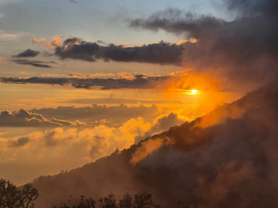 Jaya Trekker-Tetebatu必去景点