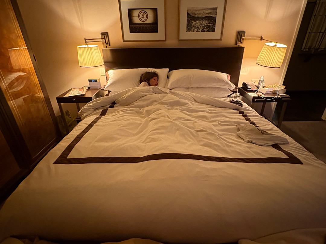 日落塔酒店主图