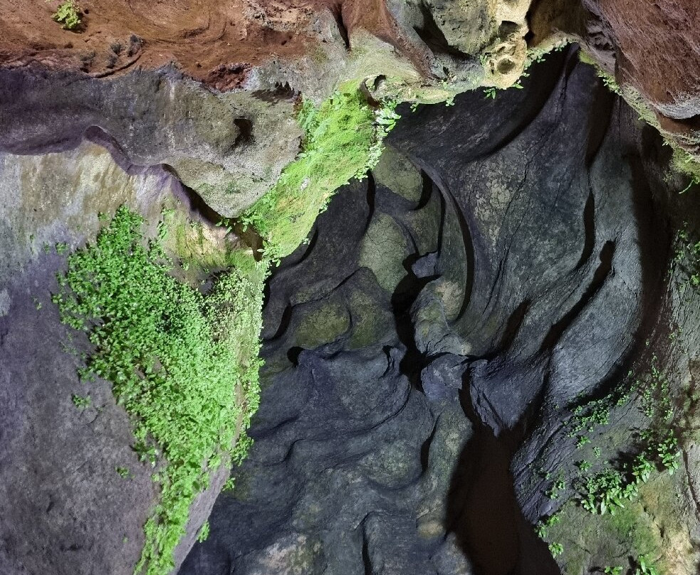 Prehistoric Cave Cueva de las Calaveras-Benidoleig必去景点