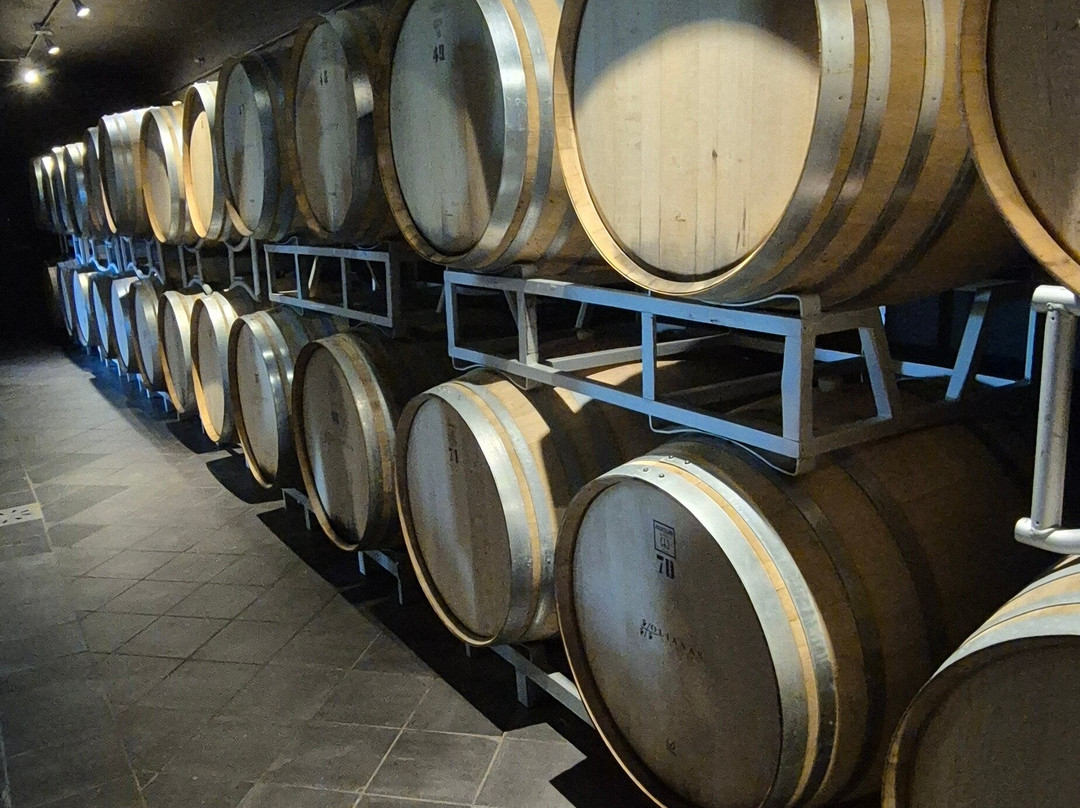 TENUTA CASADEI-Suvereto必去景点