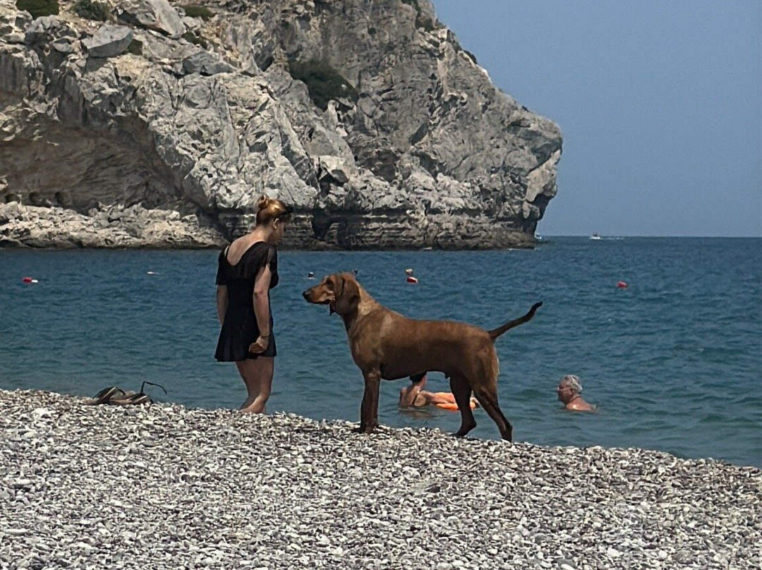 Traounou Beach-Faliraki必去景点