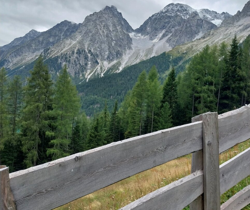 Steinzger Montal Alm主图