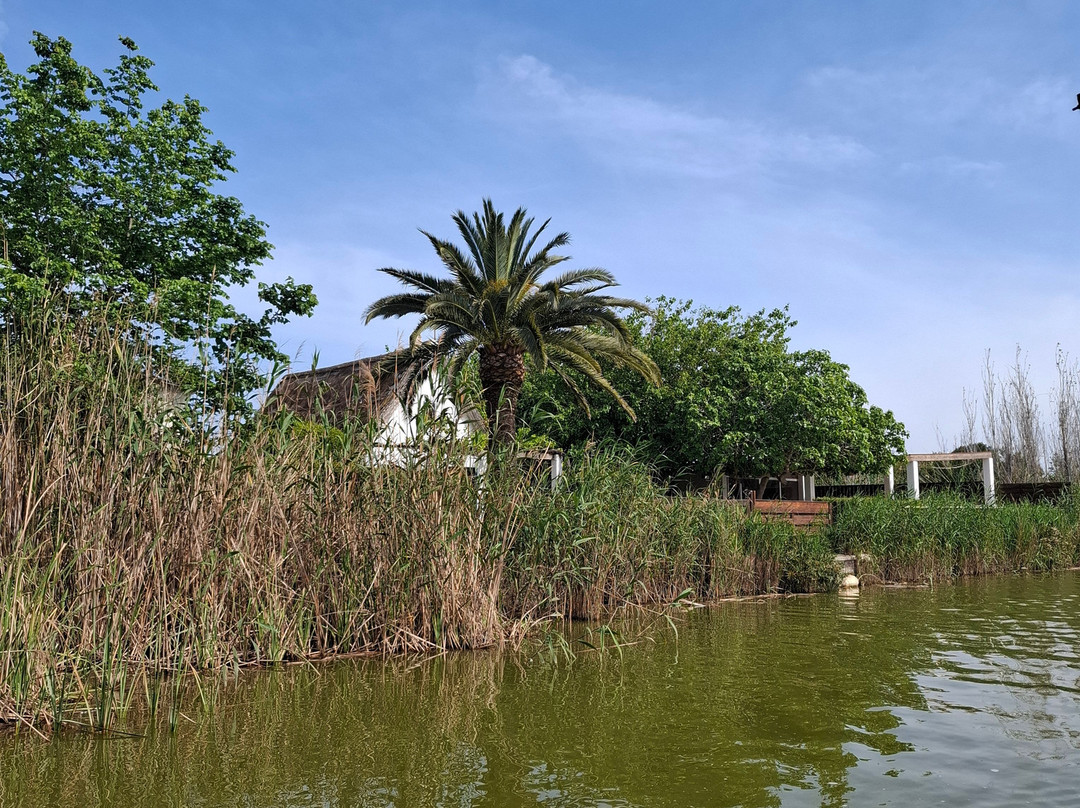 Albufera Parc-巴伦西亚必去景点