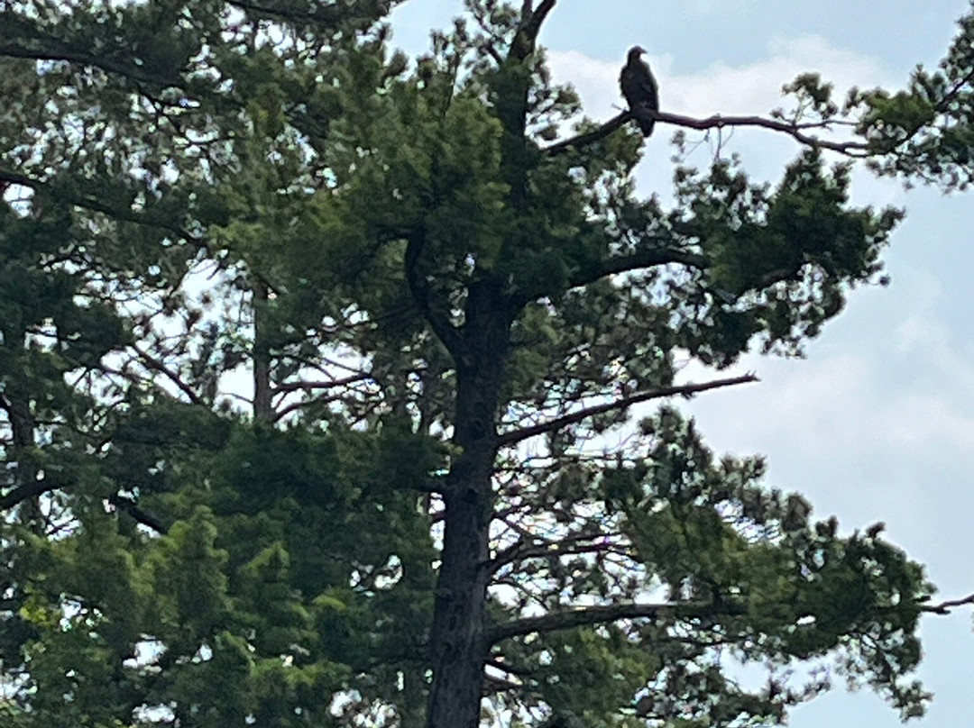 Pirates Hideaway-伊格尔里弗必去景点