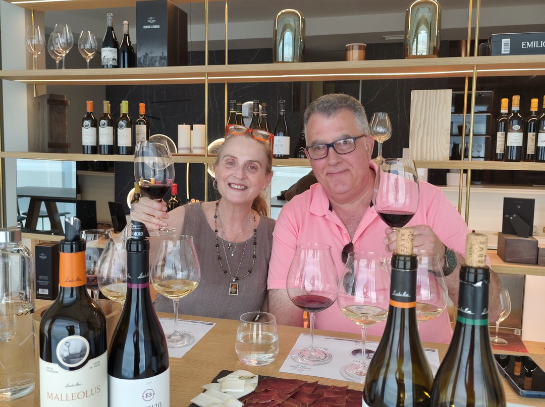 Bodegas Emilio Moro Bierzo-蓬费拉达必去景点