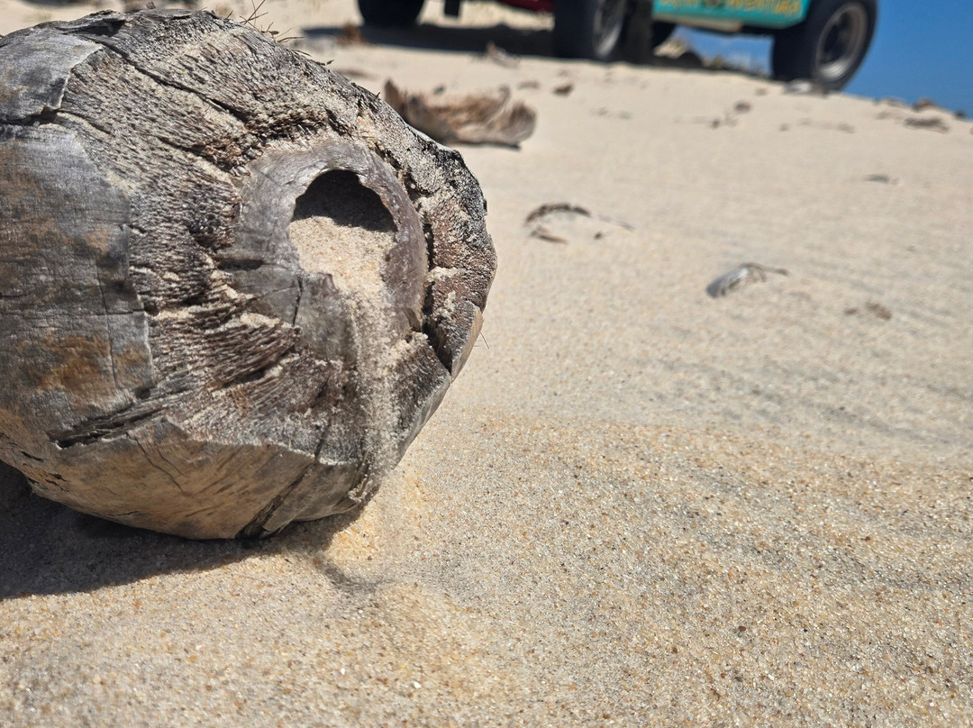 Villa Isola Bella主图