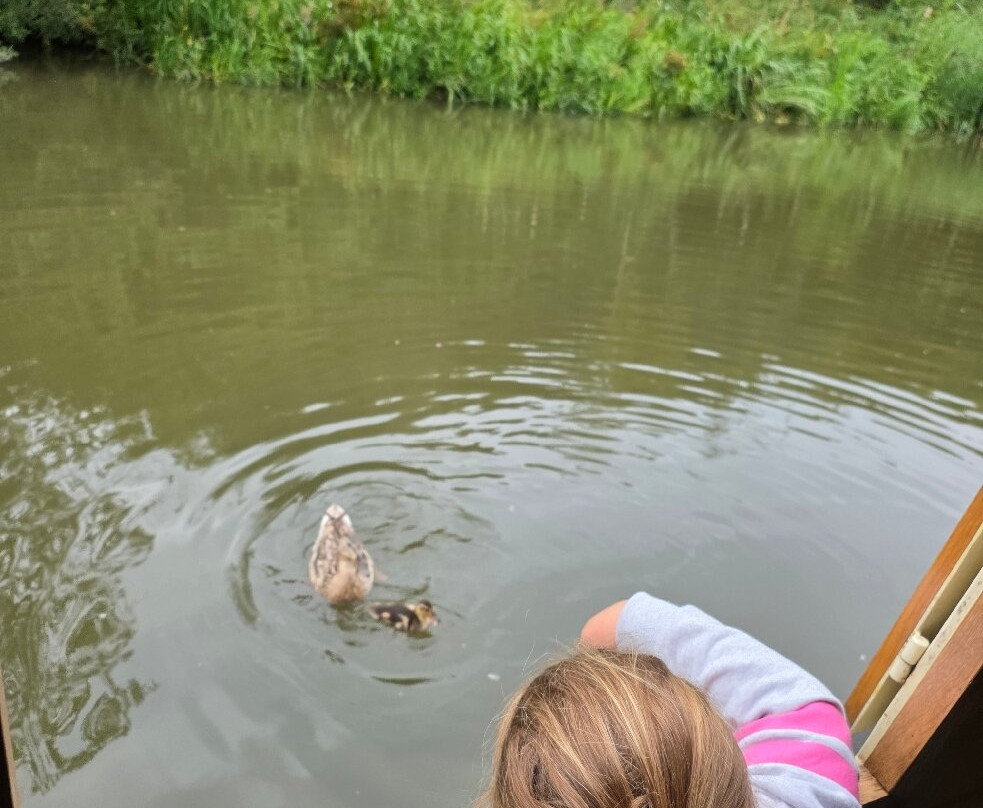 Thorn Marine-Stockton Heath必去景点