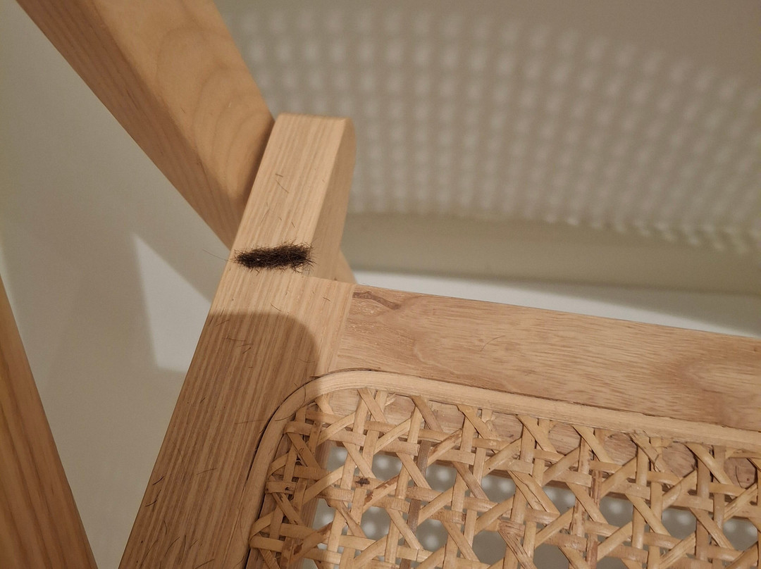 Hotel La Fonda主图