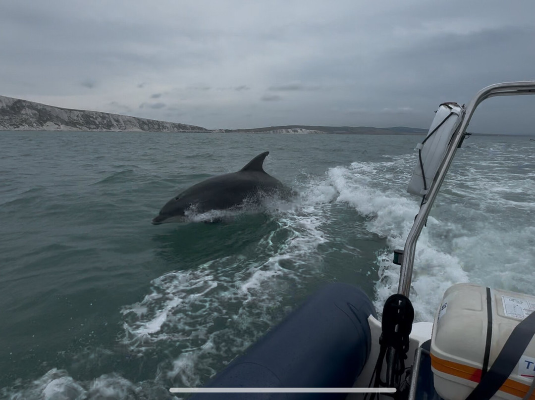 Bluetooth RIB Charter-Hamble必去景点