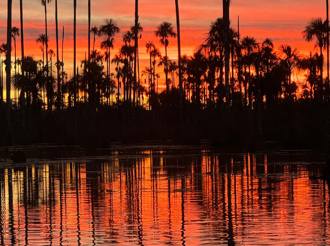 GREEN HOUSE TAMBOPATA-Filadelfia必去景点