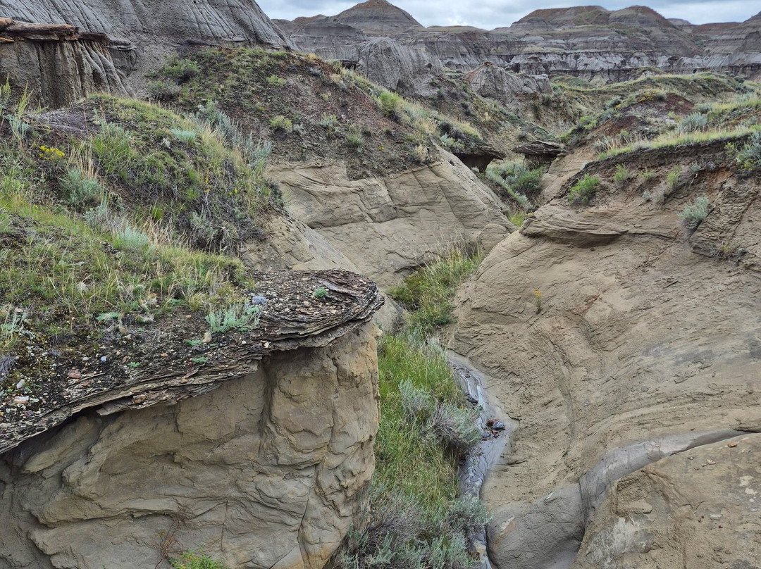 省立恐龙公园-艾伯塔必去景点