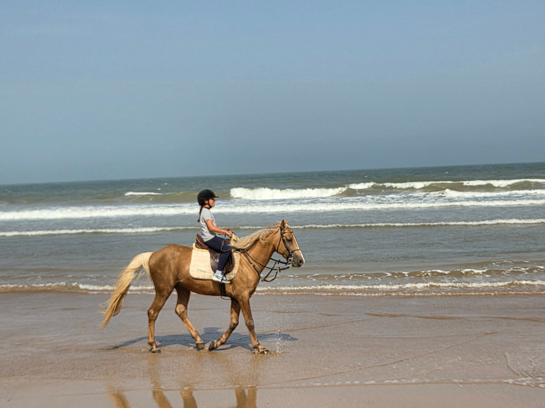 Ranch Aftass-索维拉必去景点