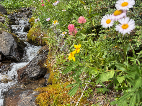 Tyax Adventures-Gold Bridge必去景点