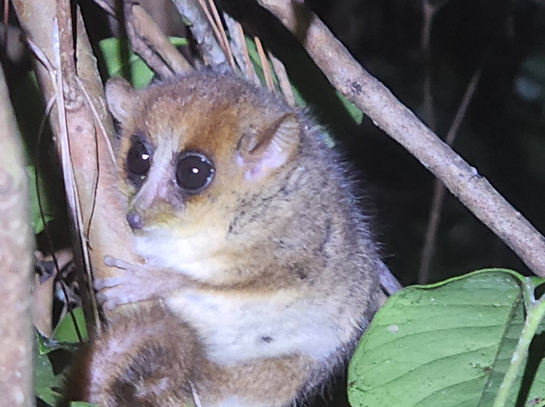 Sudmadatrek Voyages-Fianarantsoa必去景点