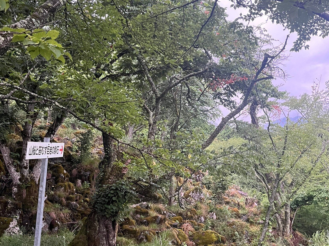 Ritsuun Valley-朝来市必去景点