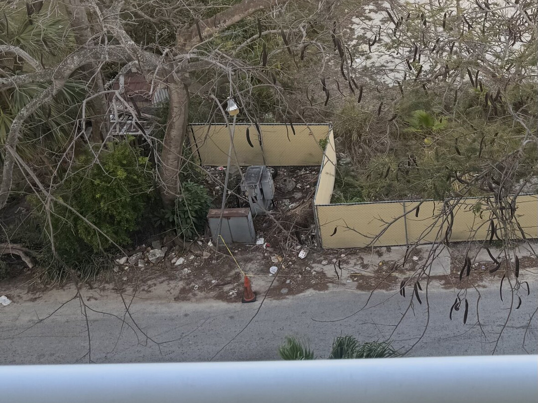 Sandals Royal Bahamian主图