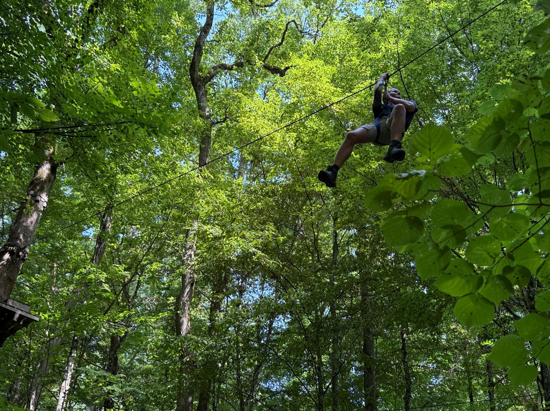 Grimpobranches-Lusigny sur Barse必去景点