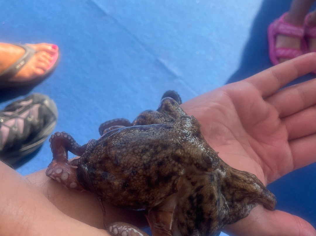 Pescaturismo Maria Rossana-Calasetta必去景点