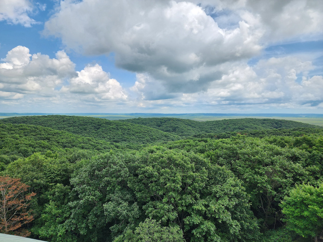 钏路市湿原展望台-钏路市必去景点