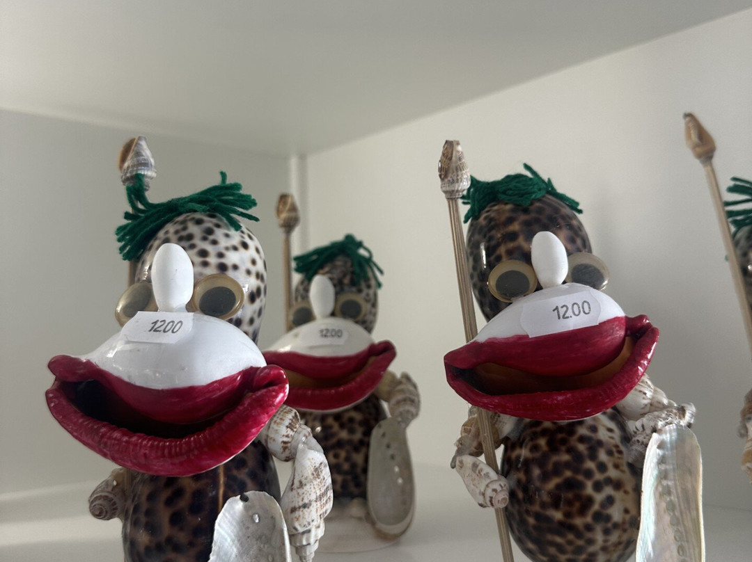 Museum du Coquillage-莱萨布勒多洛讷必去景点