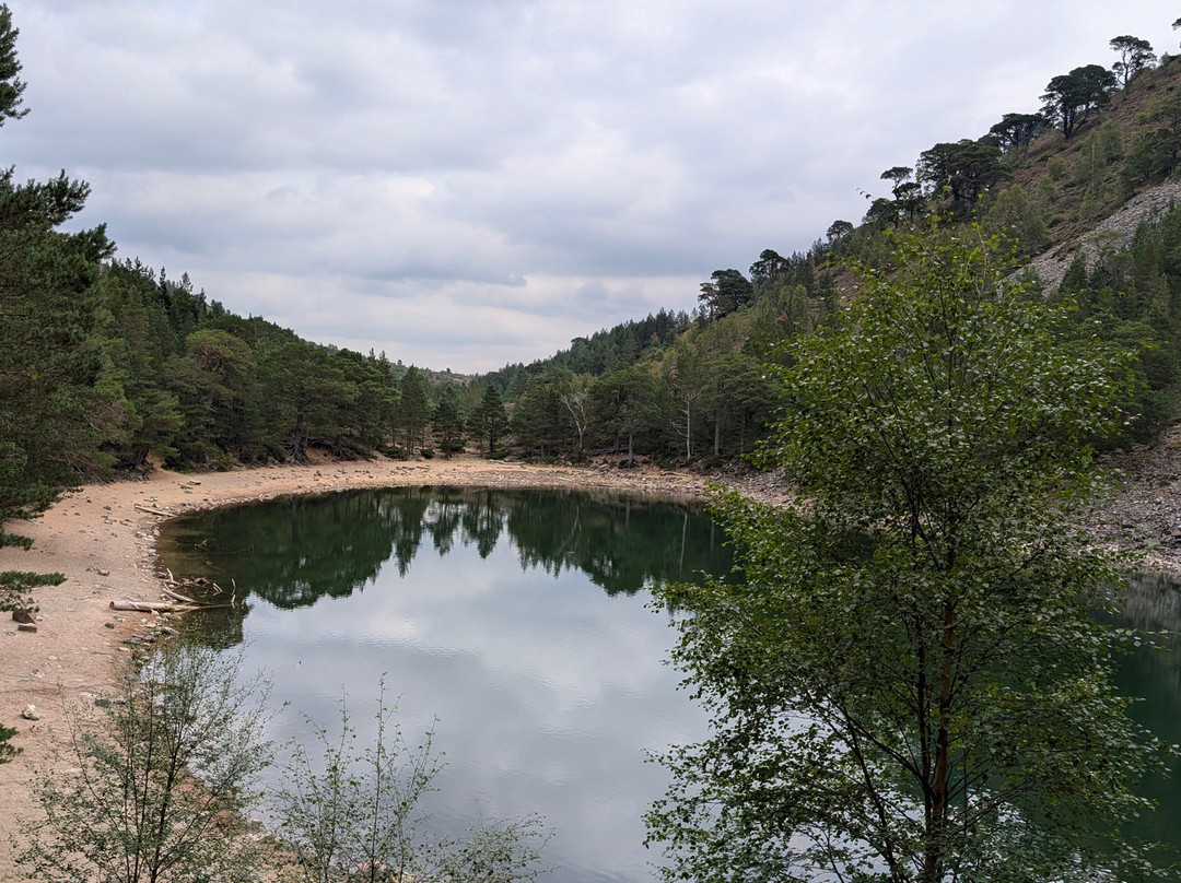 An Lochan Uaine-阿维莫尔必去景点