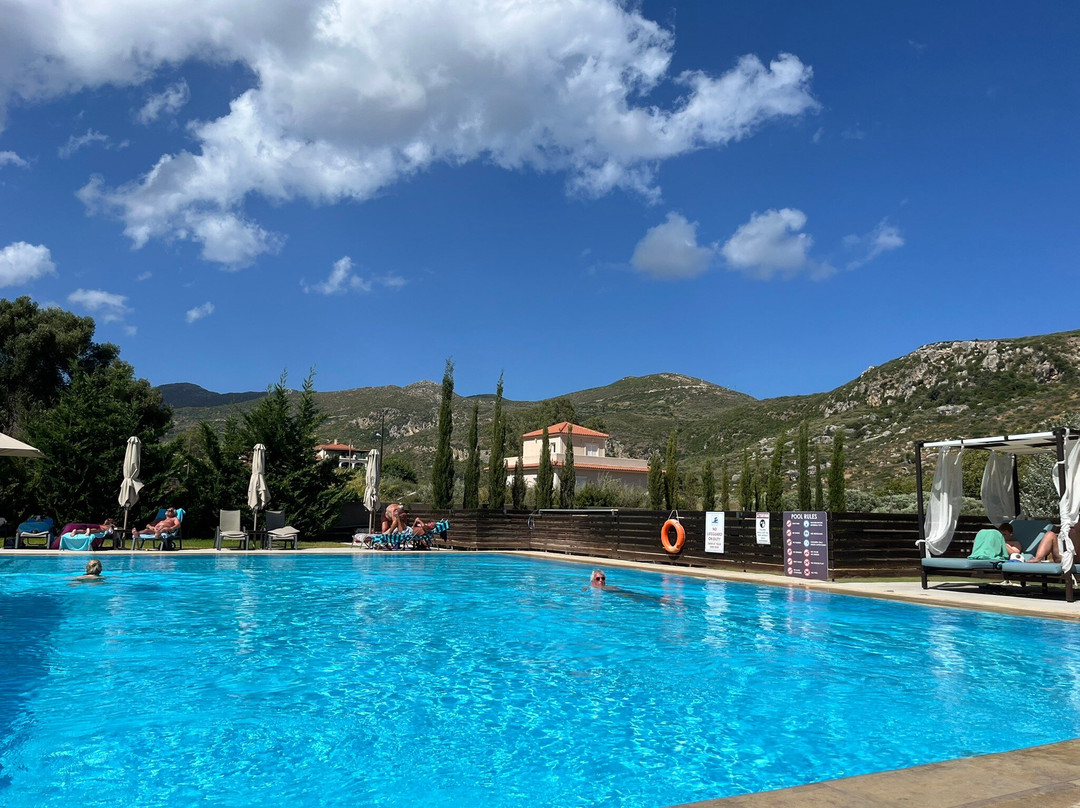 Aligis Studios主图