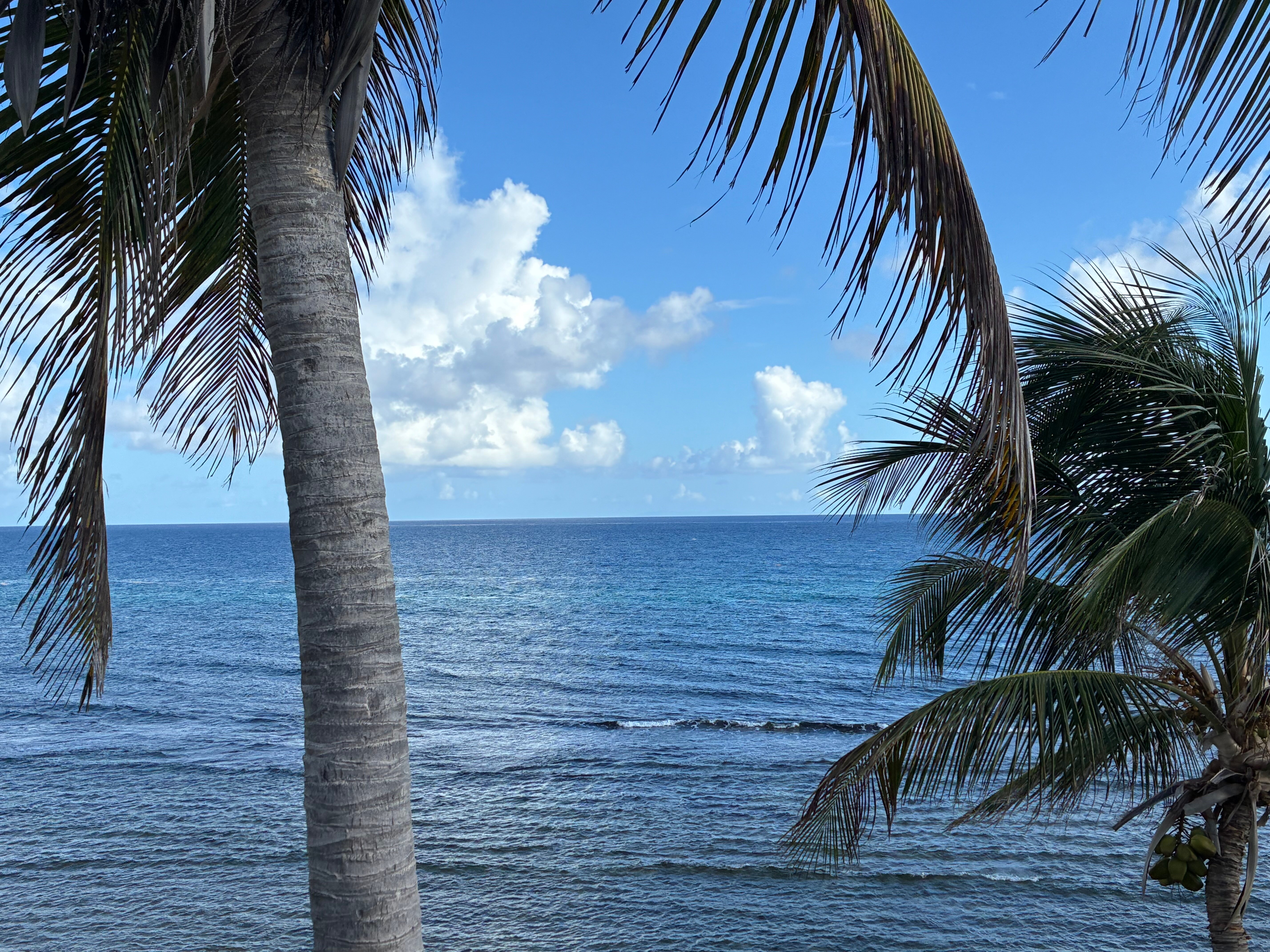 Villa Margarita-官方