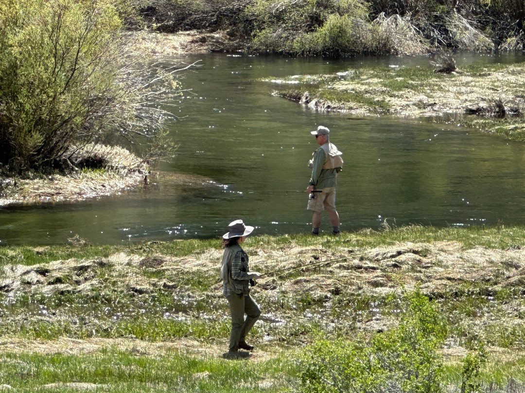 Lee Vining Creek-利韦宁必去景点