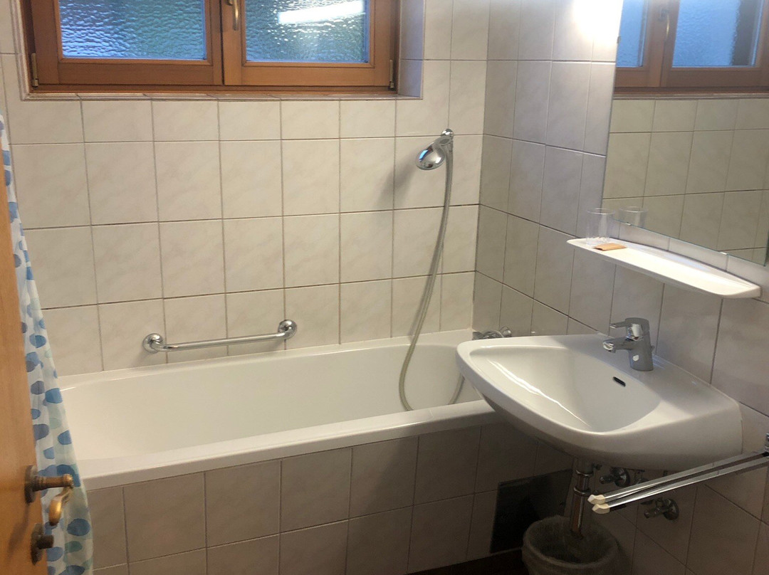 Schwarzer Adler主图