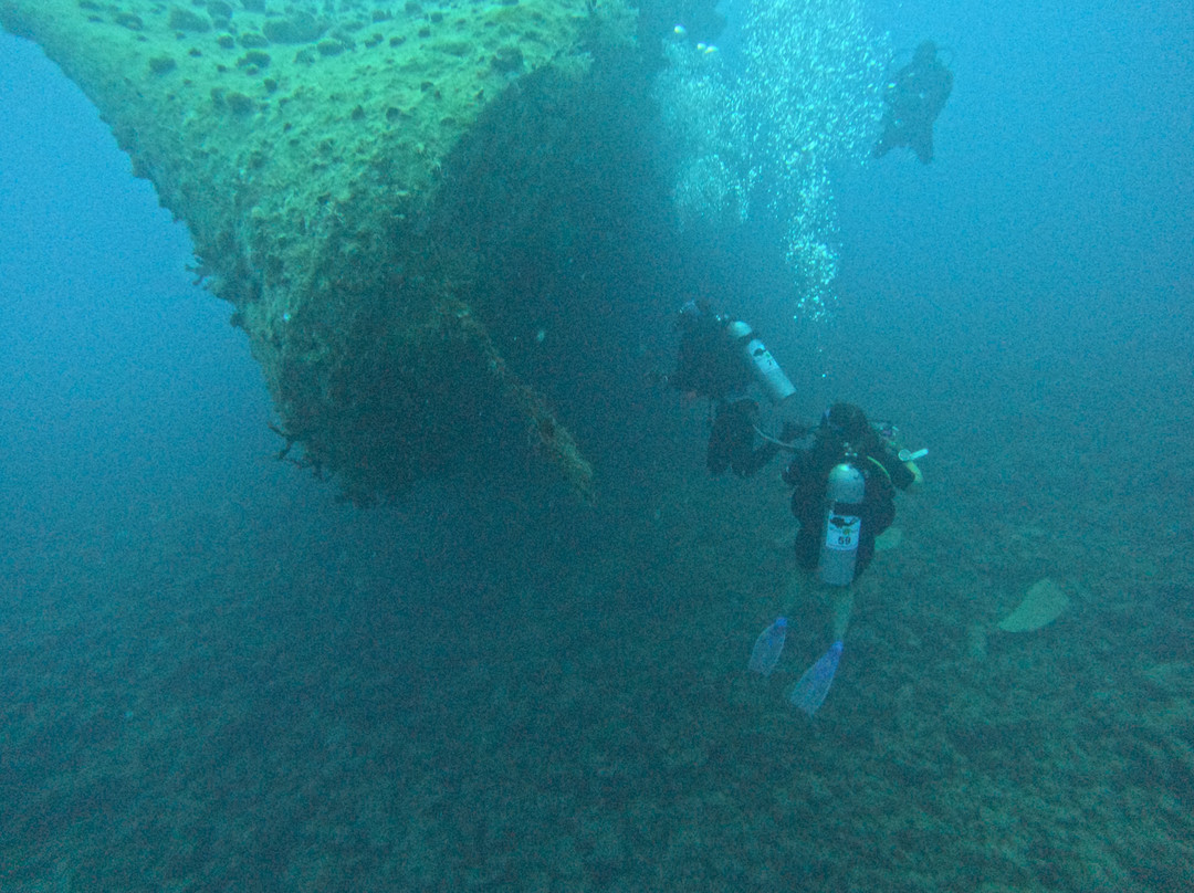 Crazy Waves Diving Club-赫尔格达必去景点