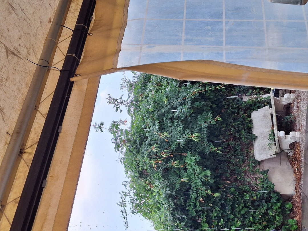 维尔德海岸酒店主图