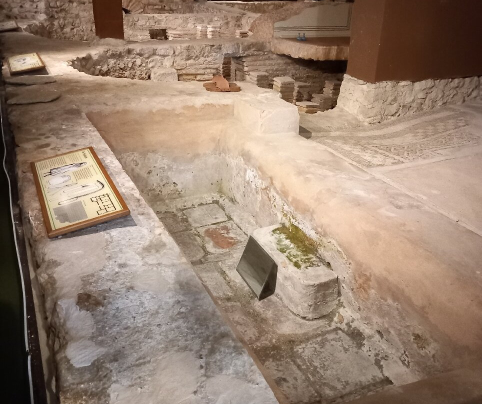 Newport Roman Villa-纽波特必去景点